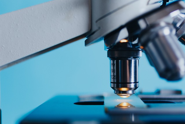 耐水解金属催化剂在生物医学材料中的应用潜力